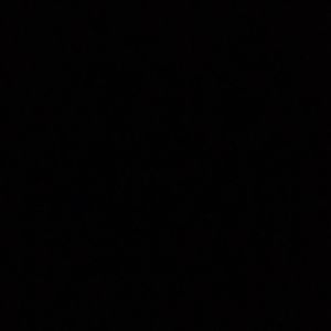 Meet your Posher, Leonardo